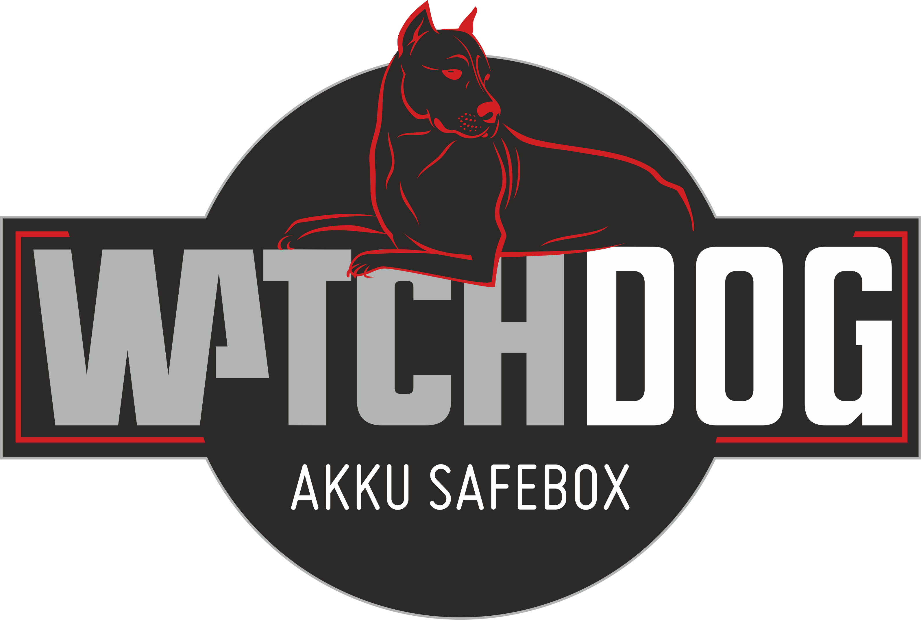 Akku Ladebox Watchdog
